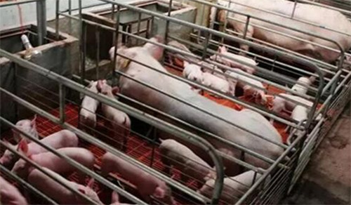 西安氯化鉀 西安氯化鉀